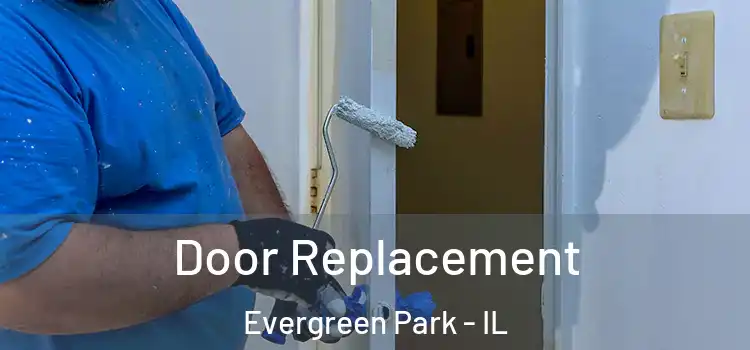 Door Replacement Evergreen Park - IL