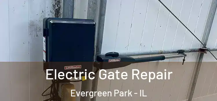 Electric Gate Repair Evergreen Park - IL